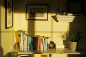 Shelf with books and potted flower in room
